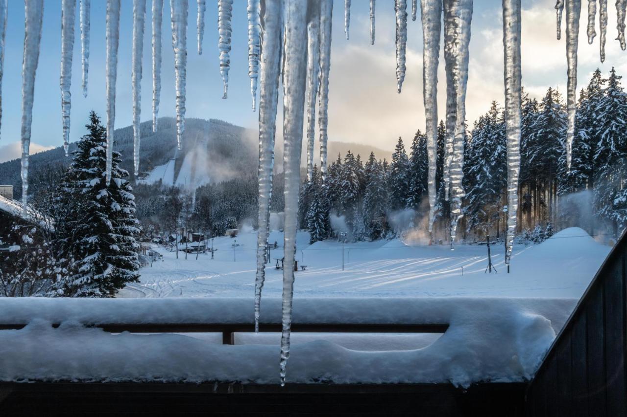 Wellness Hotel Sedy Vlk Harrachov Kültér fotó